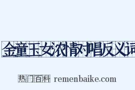 金童玉女浓情对唱反义词是什么意思的图片